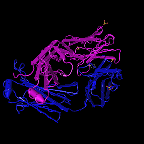 What is the significance of Bence Jones proteins?