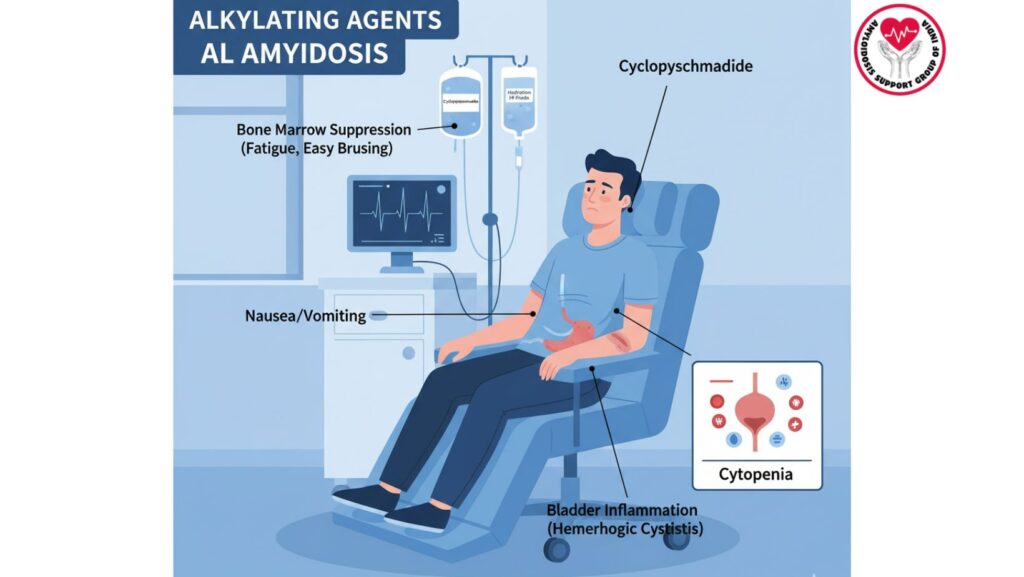 Alkylating Agents in AL Amyloidosis