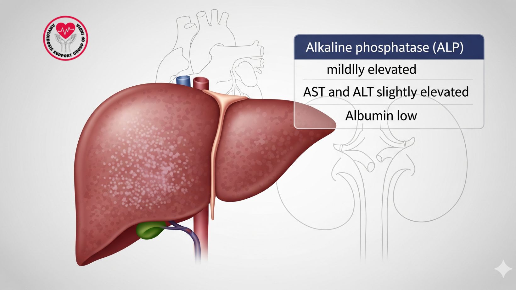 Laboratory Abnormalities in Liver Involvement - ASGI