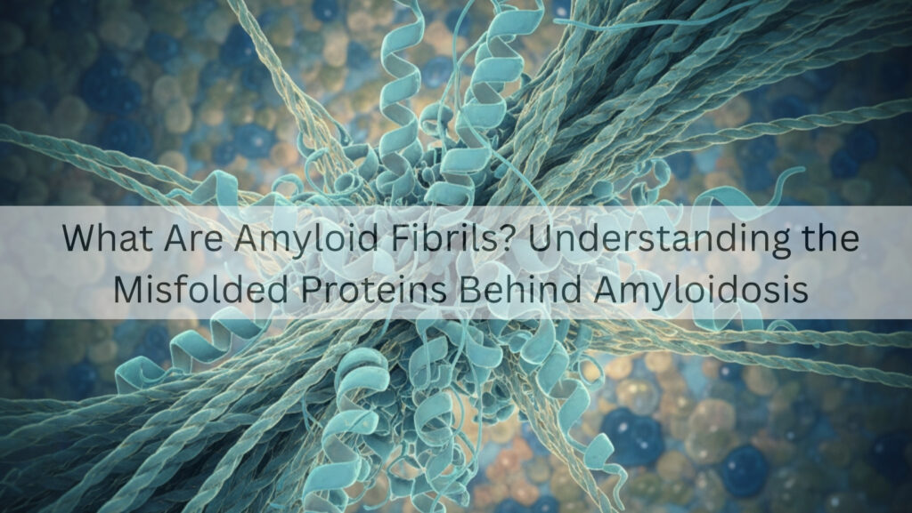 What Are Amyloid Fibrils? Understanding the Misfolded Proteins Behind Amyloidosis