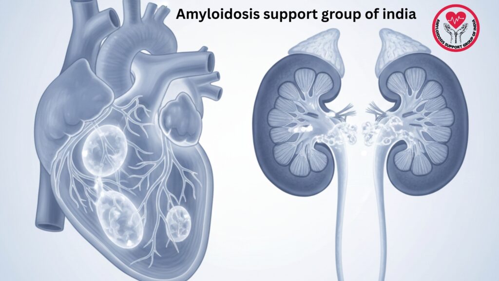 Deep Organ Response in Amyloidosis: Meaning, Criteria, and Why It Matters